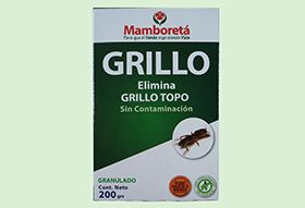 Mamboreta Grillo